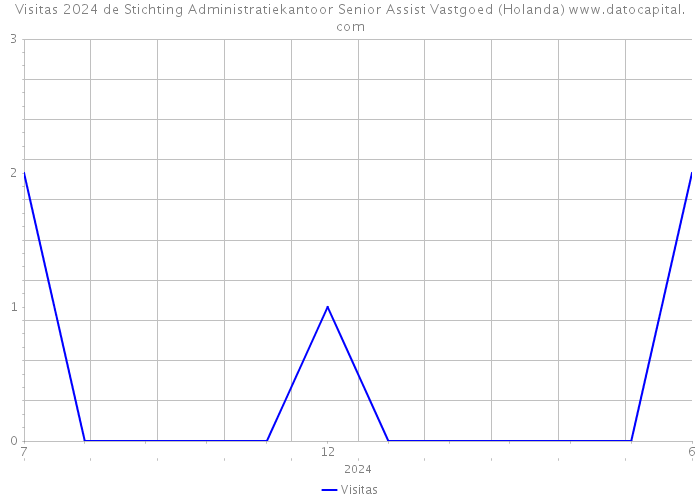 Visitas 2024 de Stichting Administratiekantoor Senior Assist Vastgoed (Holanda) 