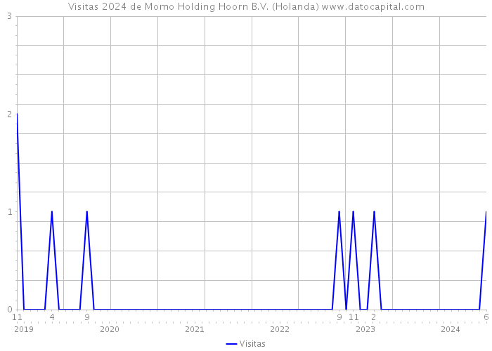 Visitas 2024 de Momo Holding Hoorn B.V. (Holanda) 