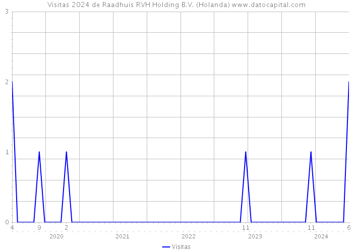 Visitas 2024 de Raadhuis RVH Holding B.V. (Holanda) 