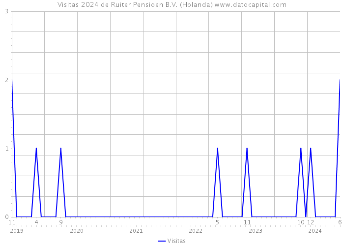 Visitas 2024 de Ruiter Pensioen B.V. (Holanda) 