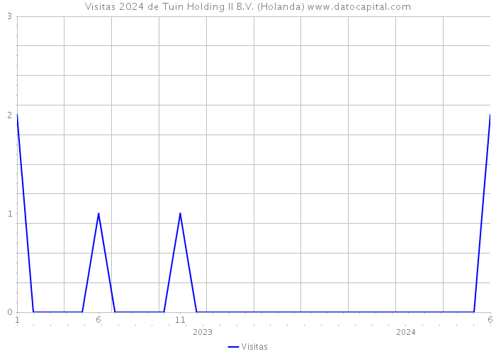 Visitas 2024 de Tuin Holding II B.V. (Holanda) 