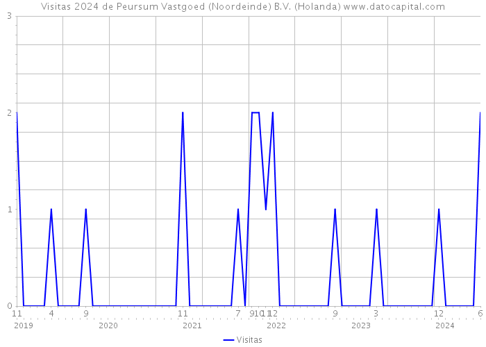 Visitas 2024 de Peursum Vastgoed (Noordeinde) B.V. (Holanda) 