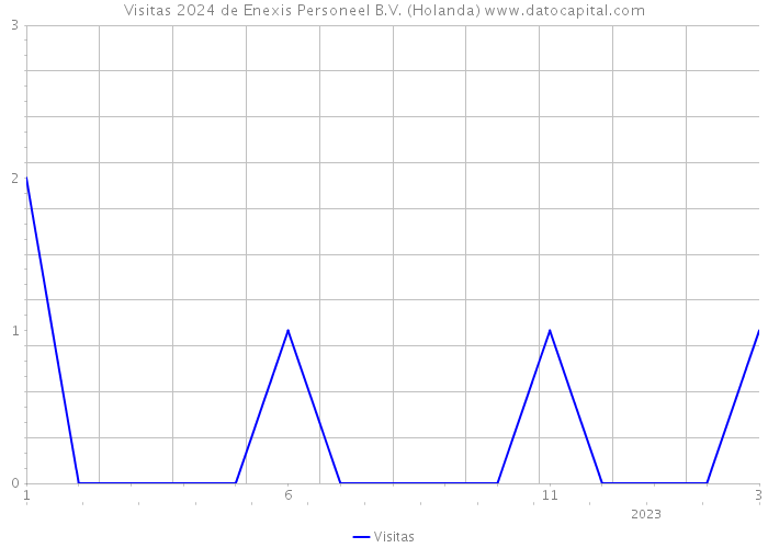 Visitas 2024 de Enexis Personeel B.V. (Holanda) 