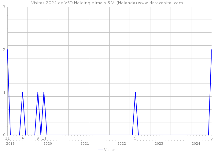 Visitas 2024 de VSD Holding Almelo B.V. (Holanda) 