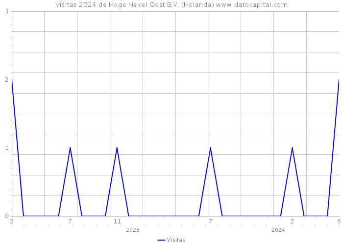 Visitas 2024 de Hoge Hexel Oost B.V. (Holanda) 