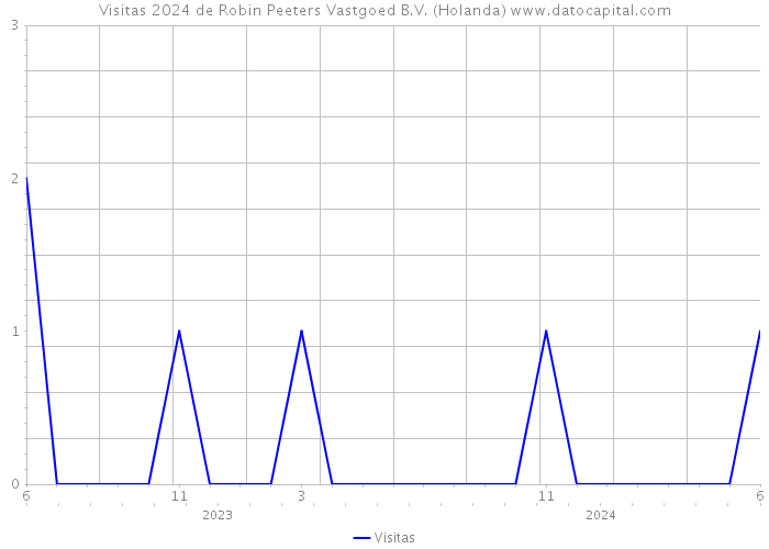 Visitas 2024 de Robin Peeters Vastgoed B.V. (Holanda) 