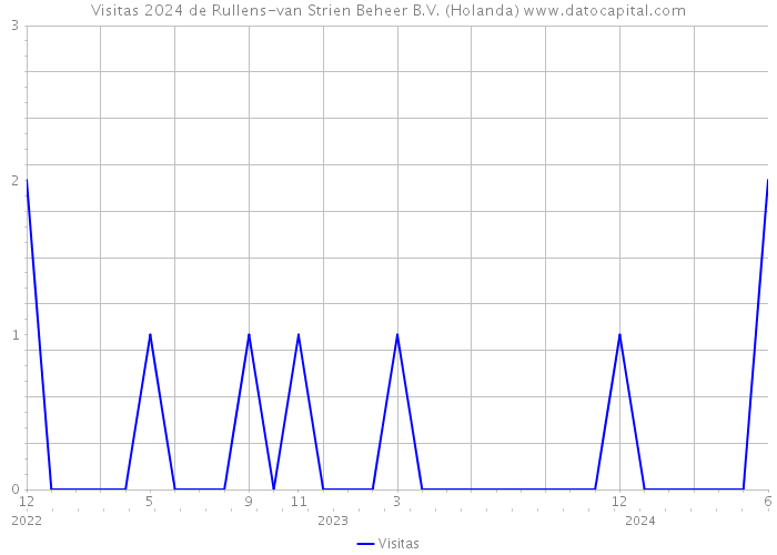 Visitas 2024 de Rullens-van Strien Beheer B.V. (Holanda) 