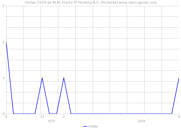 Visitas 2024 de M.M. Klerks IP Holding B.V. (Holanda) 