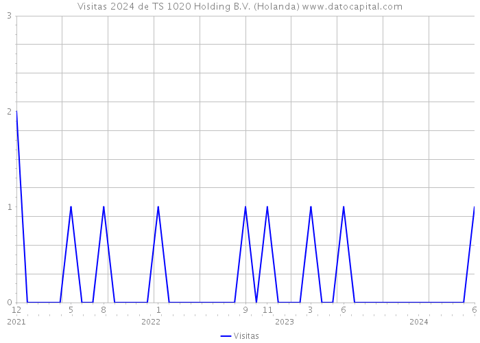 Visitas 2024 de TS 1020 Holding B.V. (Holanda) 