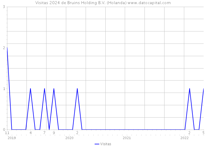 Visitas 2024 de Bruins Holding B.V. (Holanda) 