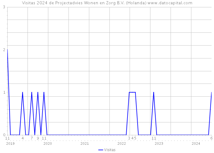 Visitas 2024 de Projectadvies Wonen en Zorg B.V. (Holanda) 