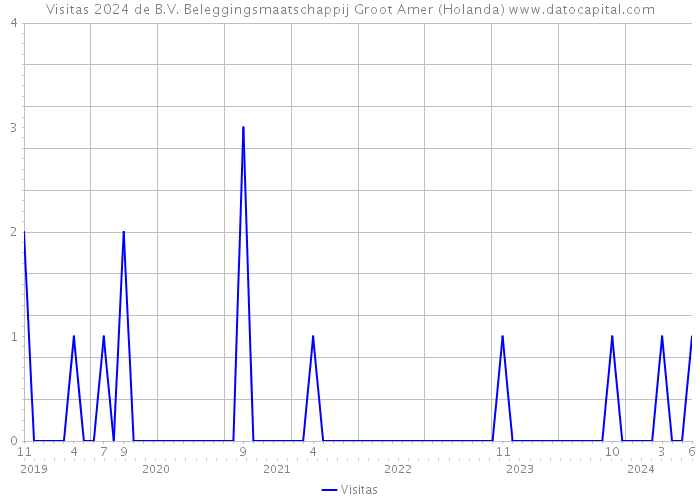 Visitas 2024 de B.V. Beleggingsmaatschappij Groot Amer (Holanda) 