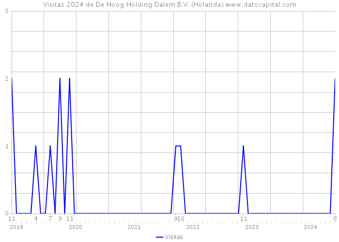 Visitas 2024 de De Hoog Holding Dalem B.V. (Holanda) 