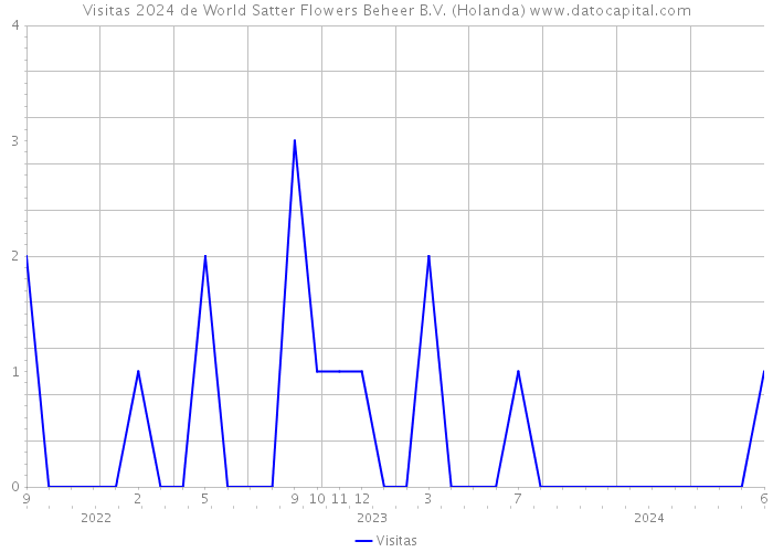 Visitas 2024 de World Satter Flowers Beheer B.V. (Holanda) 