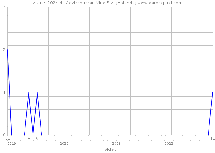 Visitas 2024 de Adviesbureau Vlug B.V. (Holanda) 