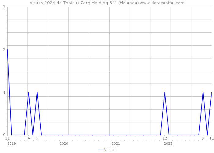 Visitas 2024 de Topicus Zorg Holding B.V. (Holanda) 
