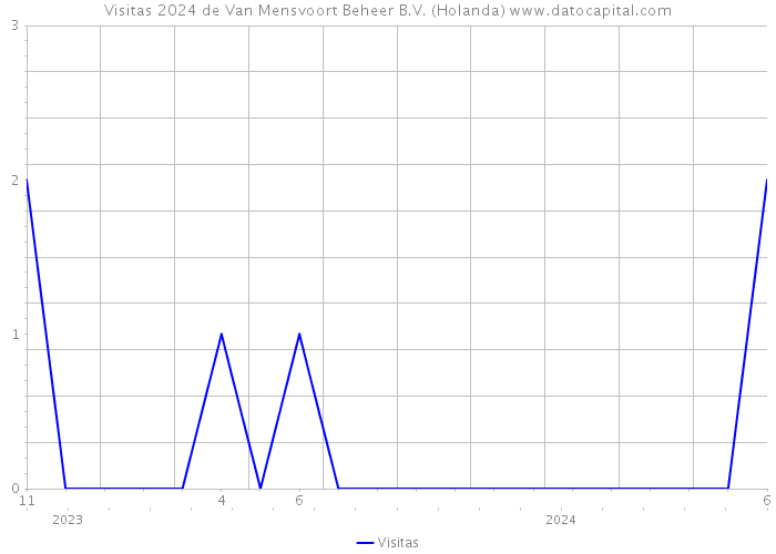 Visitas 2024 de Van Mensvoort Beheer B.V. (Holanda) 