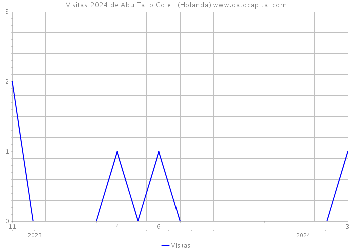 Visitas 2024 de Abu Talip Göleli (Holanda) 