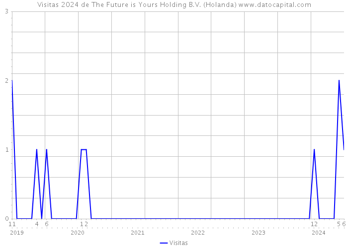 Visitas 2024 de The Future is Yours Holding B.V. (Holanda) 