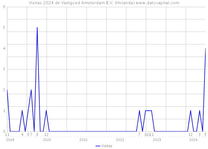 Visitas 2024 de Vastgoed Amsterdam B.V. (Holanda) 