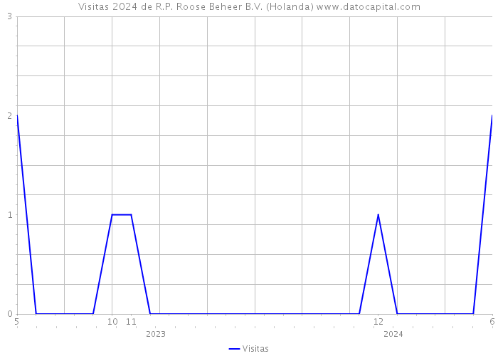 Visitas 2024 de R.P. Roose Beheer B.V. (Holanda) 