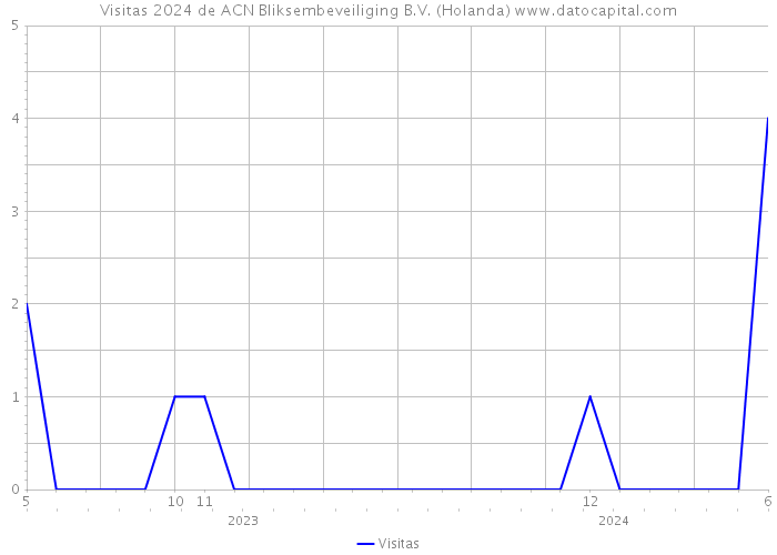 Visitas 2024 de ACN Bliksembeveiliging B.V. (Holanda) 