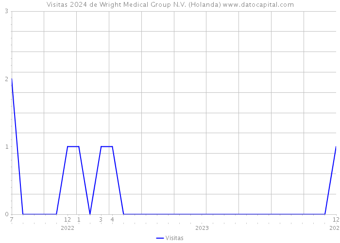 Visitas 2024 de Wright Medical Group N.V. (Holanda) 