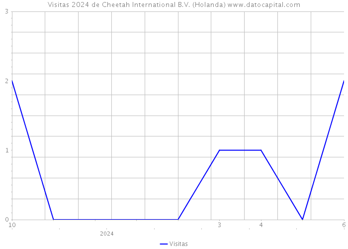 Visitas 2024 de Cheetah International B.V. (Holanda) 