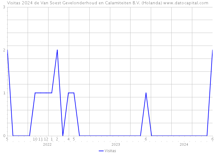 Visitas 2024 de Van Soest Gevelonderhoud en Calamiteiten B.V. (Holanda) 