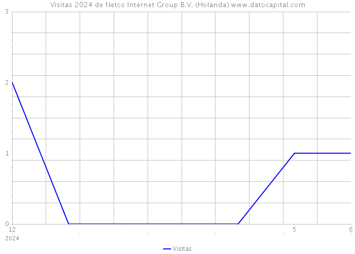 Visitas 2024 de Netco Internet Group B.V. (Holanda) 