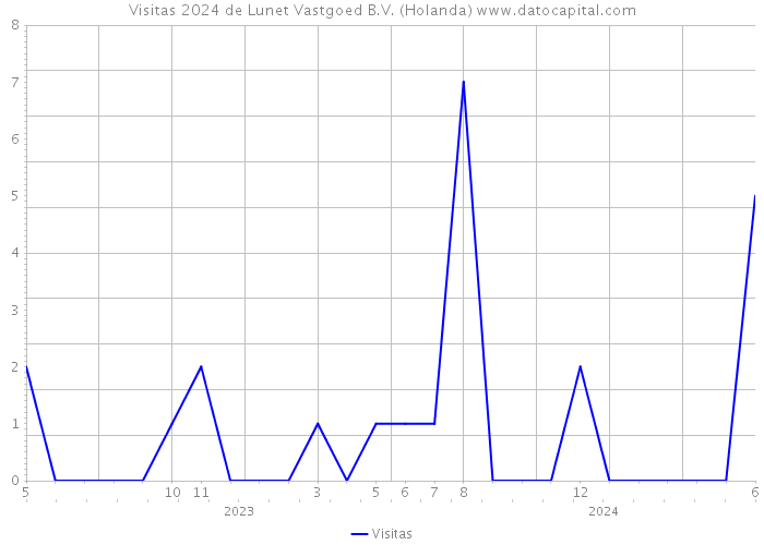 Visitas 2024 de Lunet Vastgoed B.V. (Holanda) 