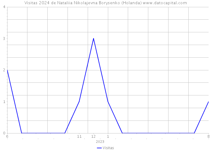 Visitas 2024 de Nataliia Nikolajevna Borysenko (Holanda) 