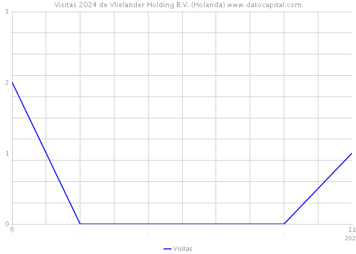 Visitas 2024 de Vlielander Holding B.V. (Holanda) 