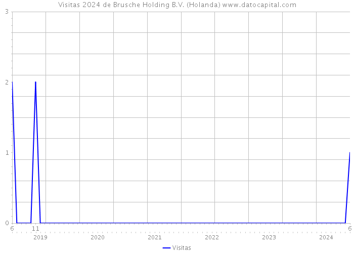 Visitas 2024 de Brusche Holding B.V. (Holanda) 
