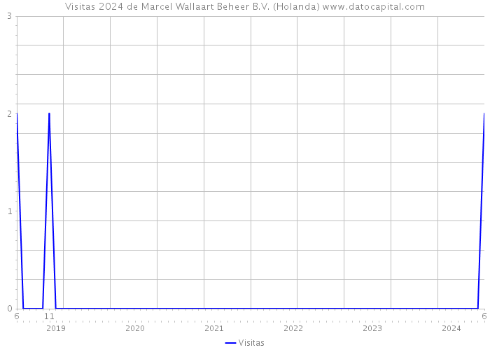 Visitas 2024 de Marcel Wallaart Beheer B.V. (Holanda) 