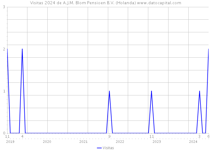 Visitas 2024 de A.J.M. Blom Pensioen B.V. (Holanda) 