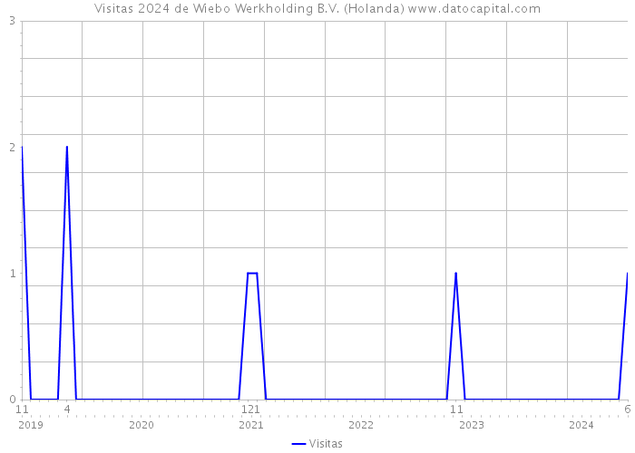 Visitas 2024 de Wiebo Werkholding B.V. (Holanda) 