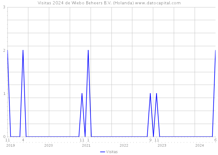 Visitas 2024 de Wiebo Beheers B.V. (Holanda) 