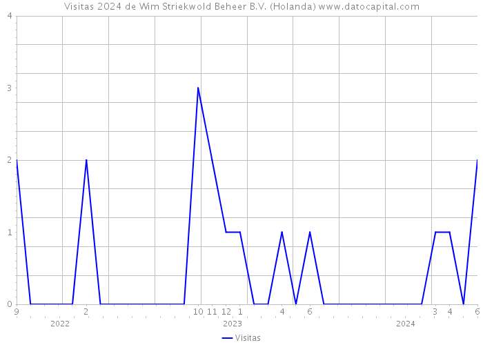 Visitas 2024 de Wim Striekwold Beheer B.V. (Holanda) 