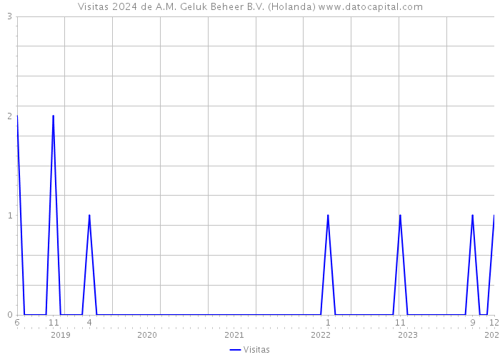 Visitas 2024 de A.M. Geluk Beheer B.V. (Holanda) 