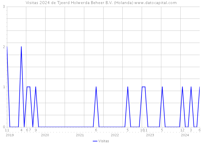 Visitas 2024 de Tjeerd Holwerda Beheer B.V. (Holanda) 