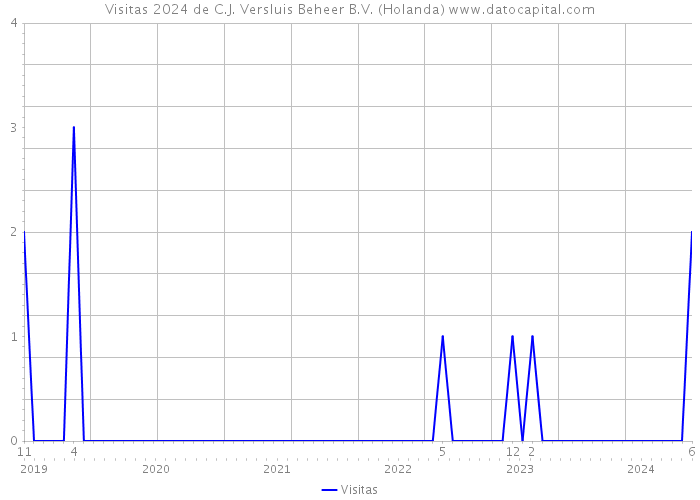 Visitas 2024 de C.J. Versluis Beheer B.V. (Holanda) 