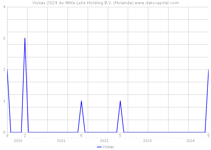 Visitas 2024 de Witte Lelie Holding B.V. (Holanda) 