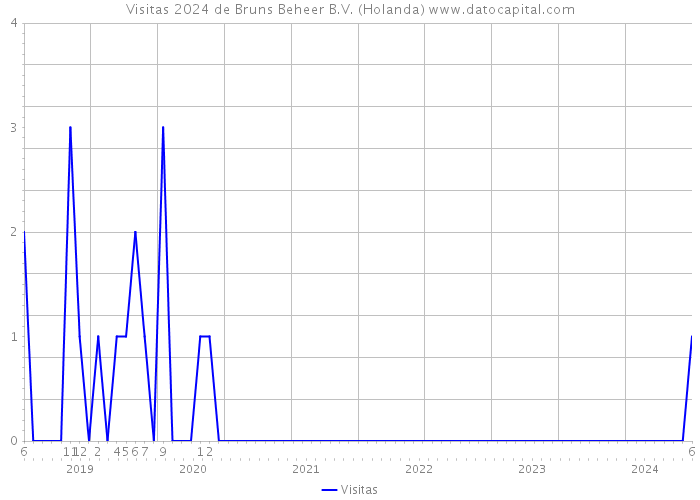 Visitas 2024 de Bruns Beheer B.V. (Holanda) 