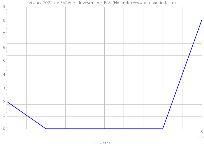 Visitas 2024 de Software Investments B.V. (Holanda) 