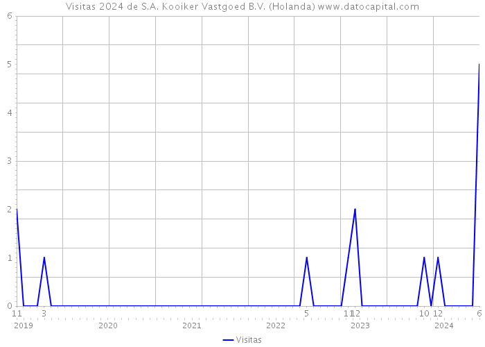 Visitas 2024 de S.A. Kooiker Vastgoed B.V. (Holanda) 