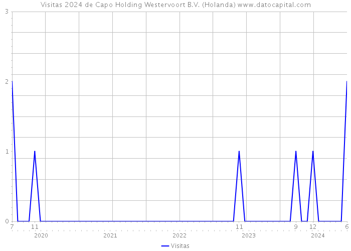 Visitas 2024 de Capo Holding Westervoort B.V. (Holanda) 