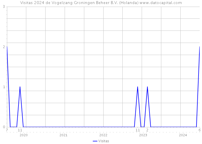 Visitas 2024 de Vogelzang Groningen Beheer B.V. (Holanda) 