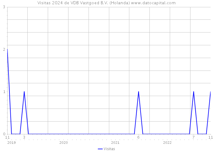 Visitas 2024 de VDB Vastgoed B.V. (Holanda) 