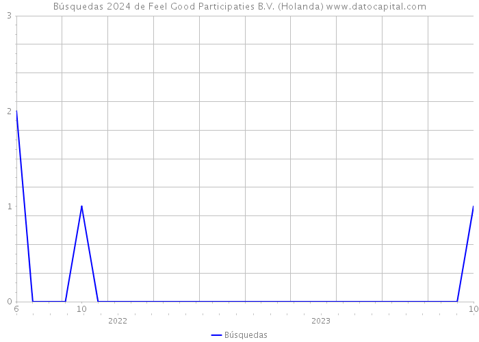 Búsquedas 2024 de Feel Good Participaties B.V. (Holanda) 